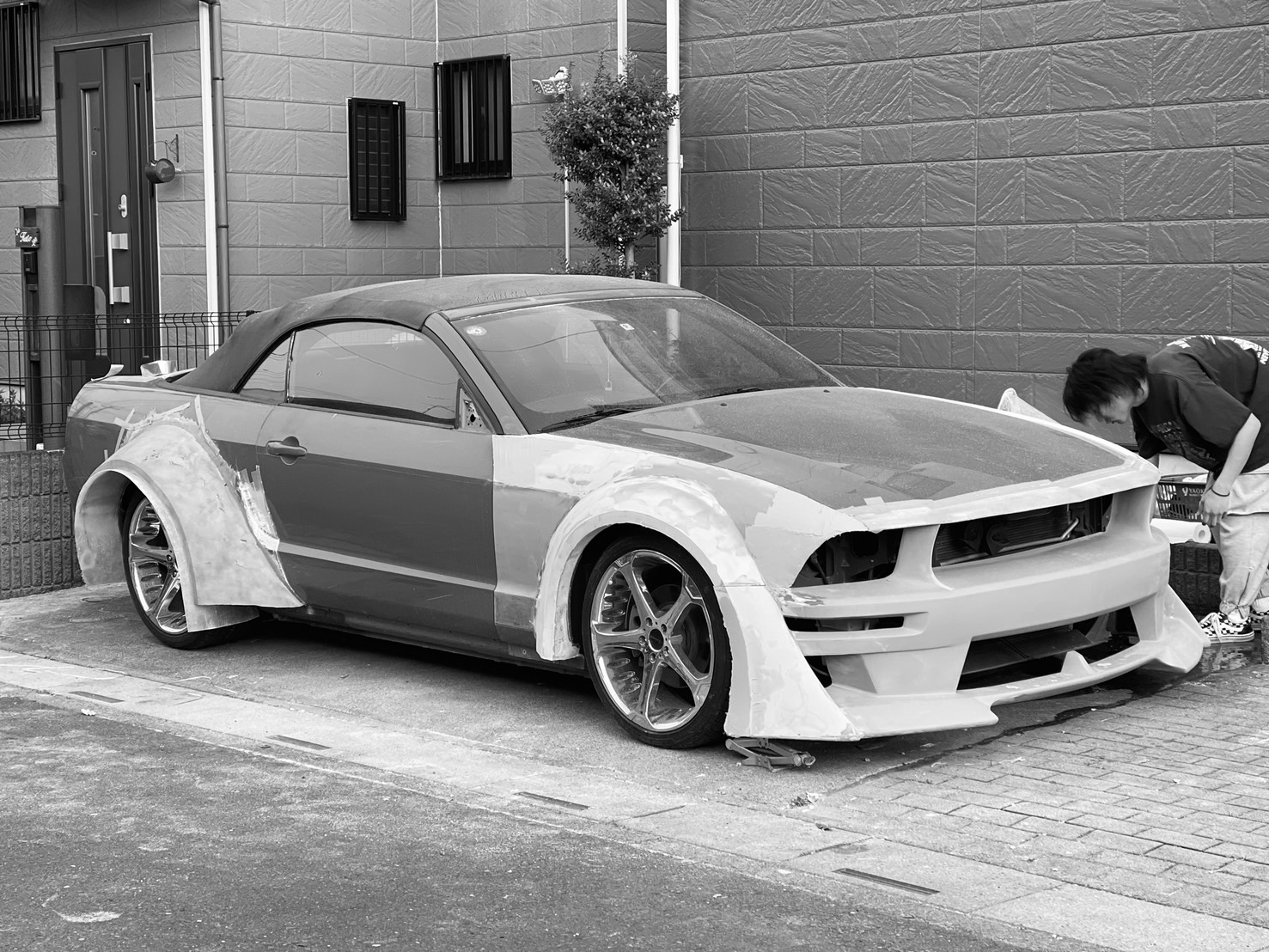 Mustang